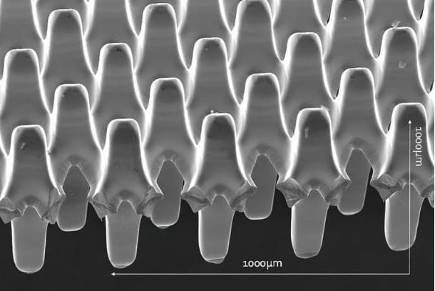 electrodes